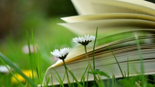 Otwarta książka leżace na łące wśród kwiatów.