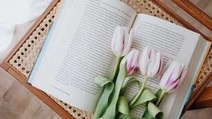 różowe tulipany leżące na otwartej książce